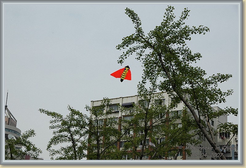 DSC_6876.JPG - Shanghai, Vliegeren is en blijft een specialitiet van de Chinezen.